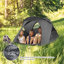 Alekhya 2 Person Tent-1490482839