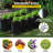 DWC Hydroponic System 5 Gal, 8 Buckets