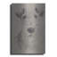 «Wire Fox Terrier» par Barbara Keith-841546170