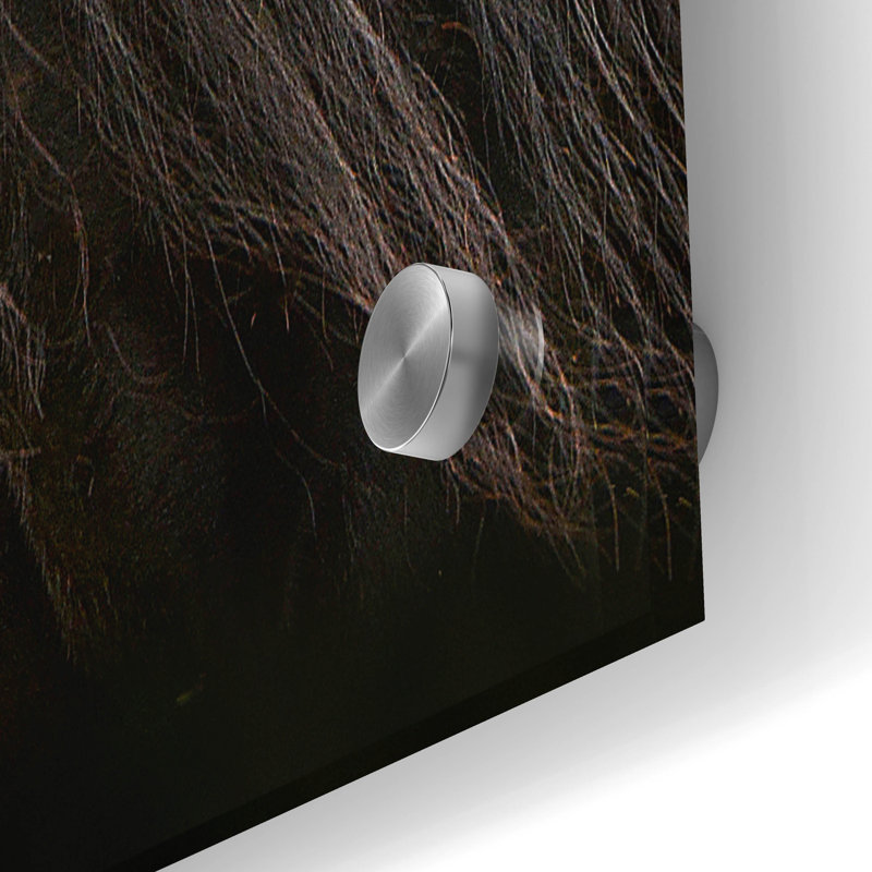 " Ebony " by Tony Stromberg, 24" H x 36" W x 0.2" D