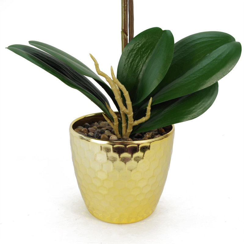 50cm Faux Plant in Pot Liner, Purple Leopard