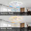 Ceiling Fan with LED Lights