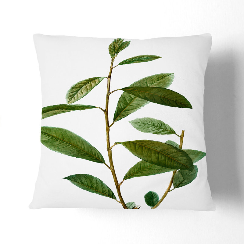 Willow Tree Branch by Pierre-Joseph Redoute Cushion with Filling, 40cm H x 40cm W x 15cm D, Black
