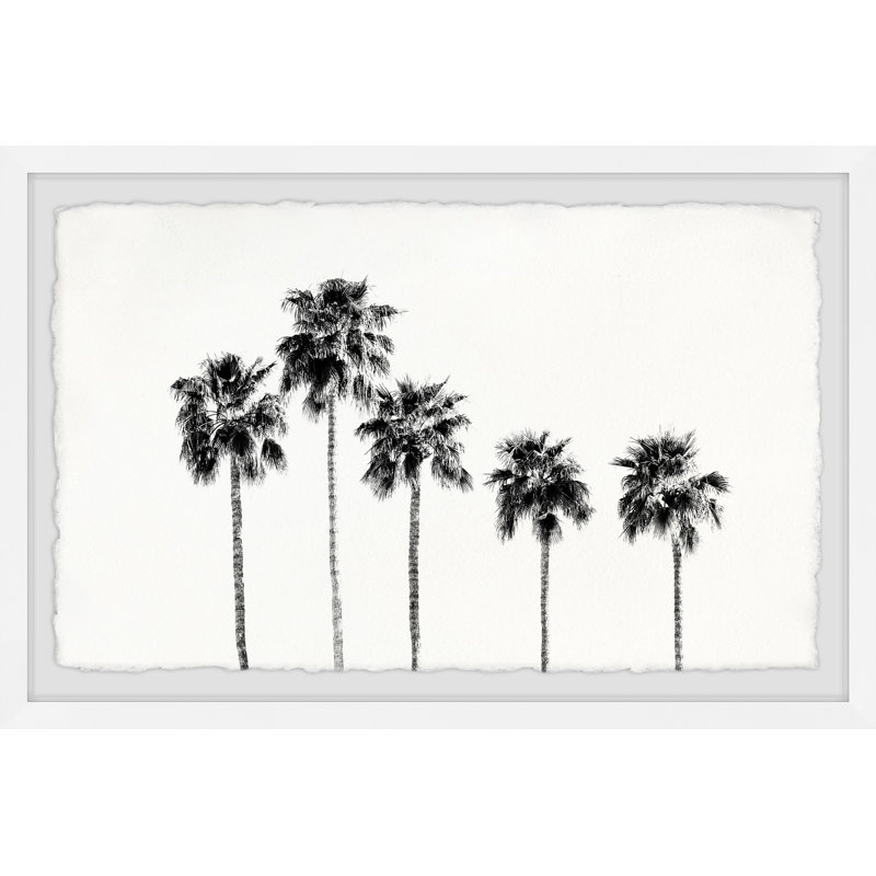 Coconut Palm Tree 1 Piece Single Picture Frame Wall Art, 41cm H x 61cm W x 3.81cm D