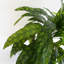 Artificial Foliage Plant in Pot Liner-124076063