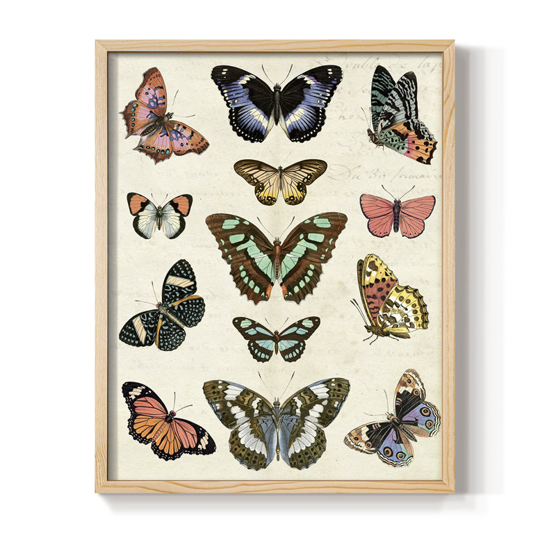 Flutterbys I Framed Print - Solid Wood, Natural, 15" H x 12" W