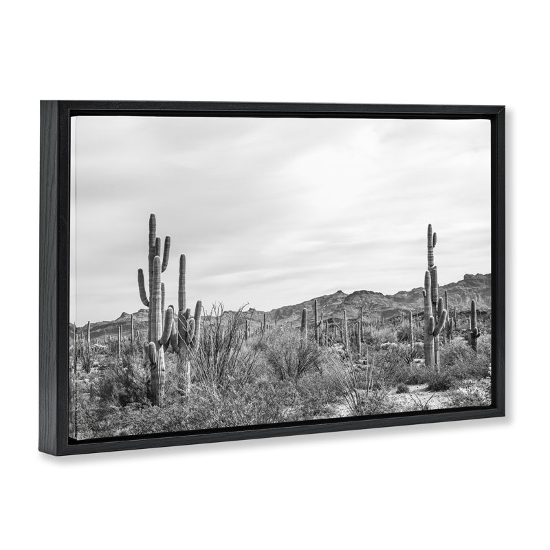 Toile flottante encadrée dorée Sonoran Desert Wonderland par Nathan Larson, Cadre flottant noir de jais, H 17 po x l 25 po