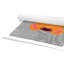 Impression sur papier Tigert Lane Tiger Lane-47833549-47482585