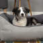 Eco Polyester Pet Bed-1348550500