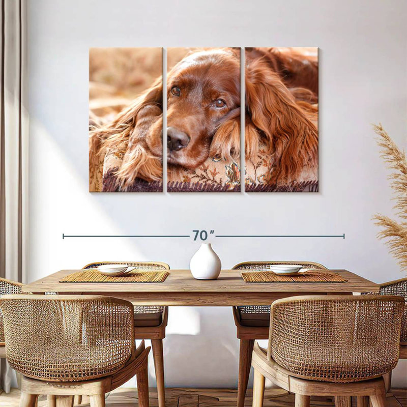 Setter irlandais Brampt, H 36 po x l 57 po