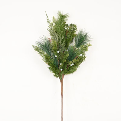 Cypress Pine Needle Stems