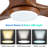 52'' Ceiling Fan with LED Lights-73302810