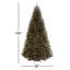14 Ft. North Valley Spruce Tree-1841505934