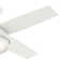 Dempsey 44" 4 - Blade Standard Ceiling Fan with Lights and Remote