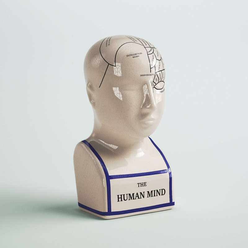 Phrenology de céramique