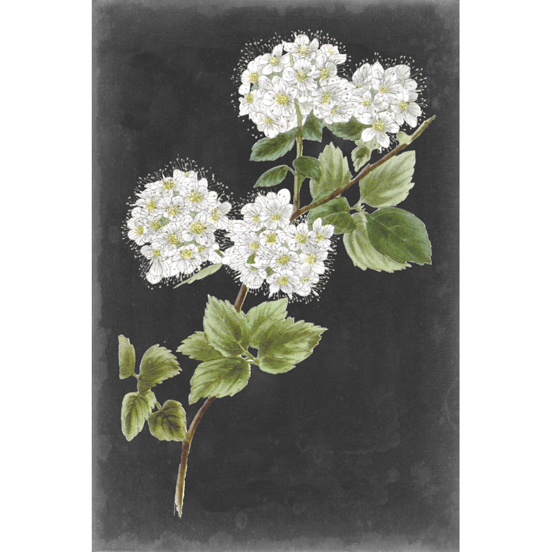 «Dramatic White Flowers II» par Vision Studio - impression sur toile tendue, H 12 po x l 8 po