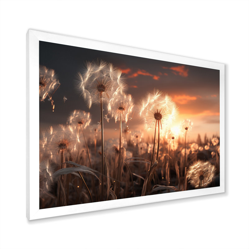 «Sunset Dandelion Field III», reproduction sur toile, Cadre photo blanc, H 12 po x l 20 po x P 1 po