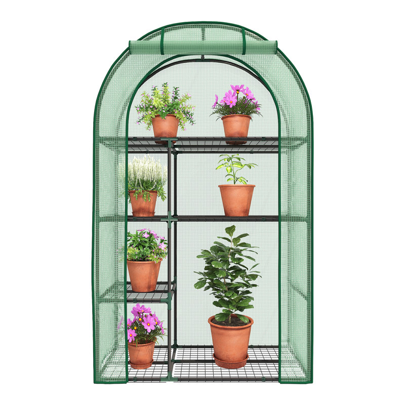 39''W x 17''D × 63''H Small Hobby Greenhouse