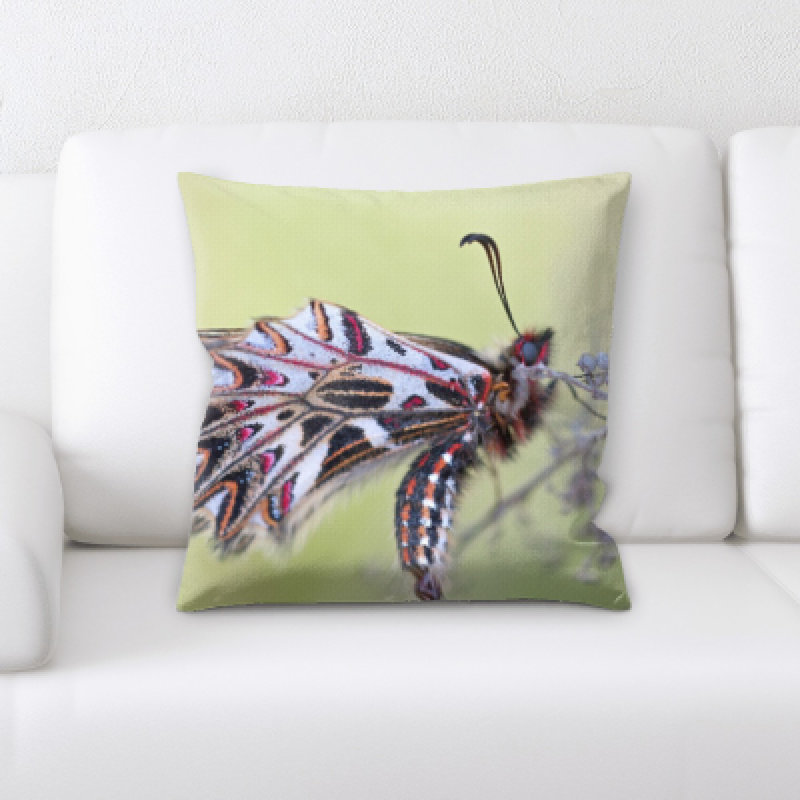 Coussin décoratif little animaux Mulfo