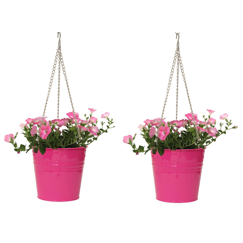 Ensemble de 2 pots suspendus en émail, Rose vif