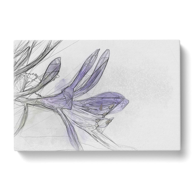 Lilac Lilly Flower In Bloom In Abstract - Wrapped Canvas Print, 35cm H x 50cm W x 3cm D