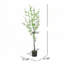Arbre à feuilles artificiel 59,9 po H