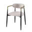 Chaise rembourrée (ensemble de 2)-421353682
