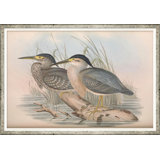 Coastal Birds Giclee Print by Soicher Marin Archives
