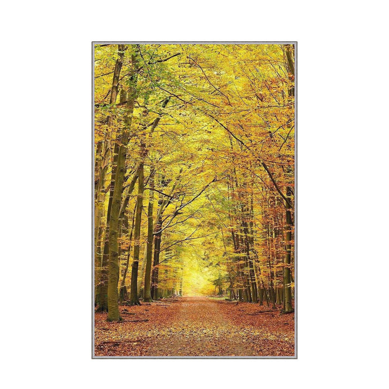 Stylish Hall Carpet (3.3 x 6.6 ft), 100% Polyester, 0.3 in Pile Height | Antibacterial, Non-Slip PVC Felt Dot Underside | Machine Washable, 3D Digital Print, Durable & Easy to Clean | Perfect for Entryway & Living Areas