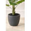 120cm Faux Plant in Cement Pot