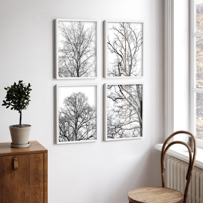 " Black & White Ground View Trees Abstract Nature Photography Modern Decor " 4 - Pieces
