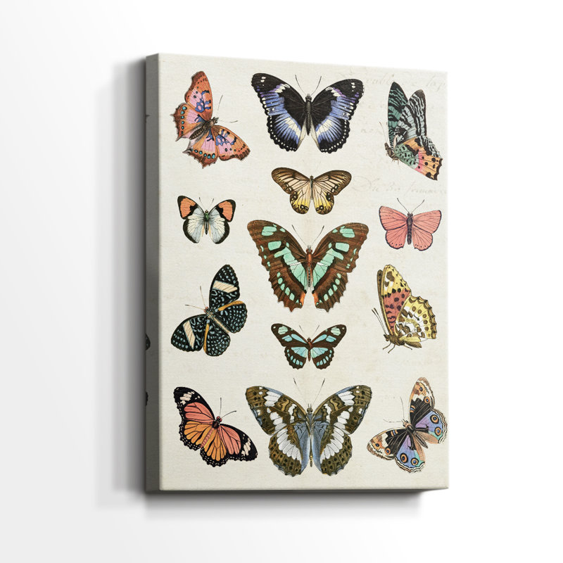 Flutterbys I -Gallery Wrapped Cavas, 18" H x 12" W