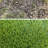 Artificial Grass Turf Customized 1.78" H Thick Synthetic Pet Friendly Lawn Turf Carpet-95076670