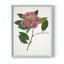 Reproduction encadrée pressée Camellia II - bois massif-309909437-309909434