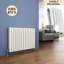 Sandvos Horizontal Oval Panel Radiators-178585682