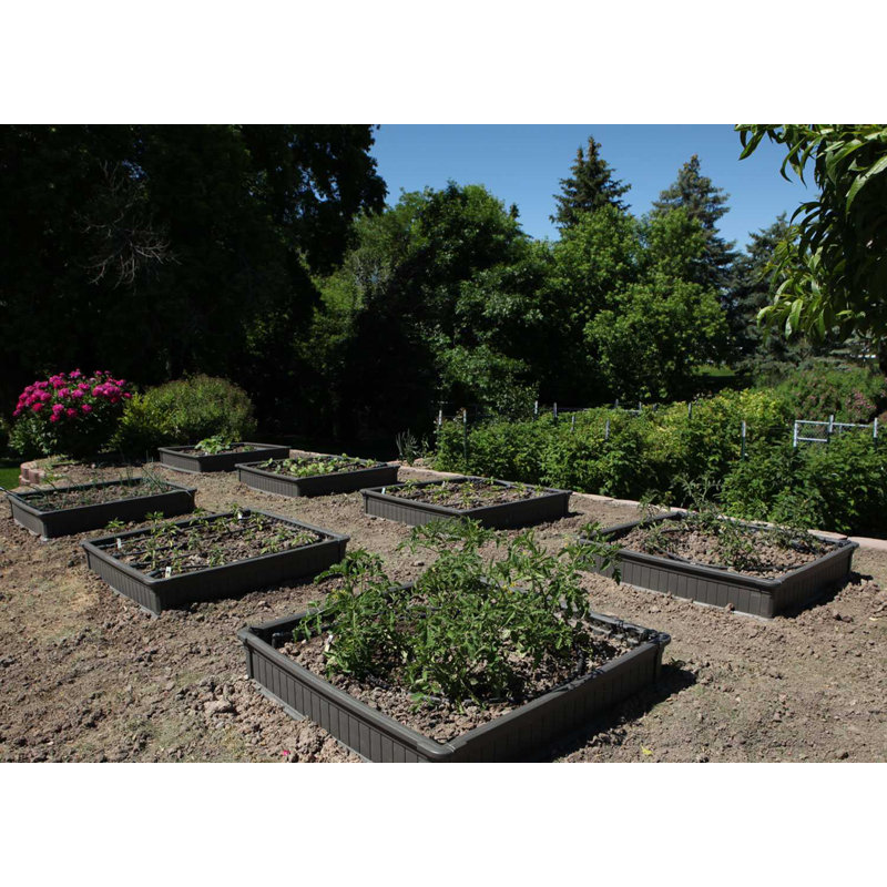Raised Garden Bed