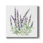 Lavande botanique I - reproduction d'art-2058953233