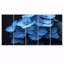 Nirvana bleu, bleu, hortensia-1143021098