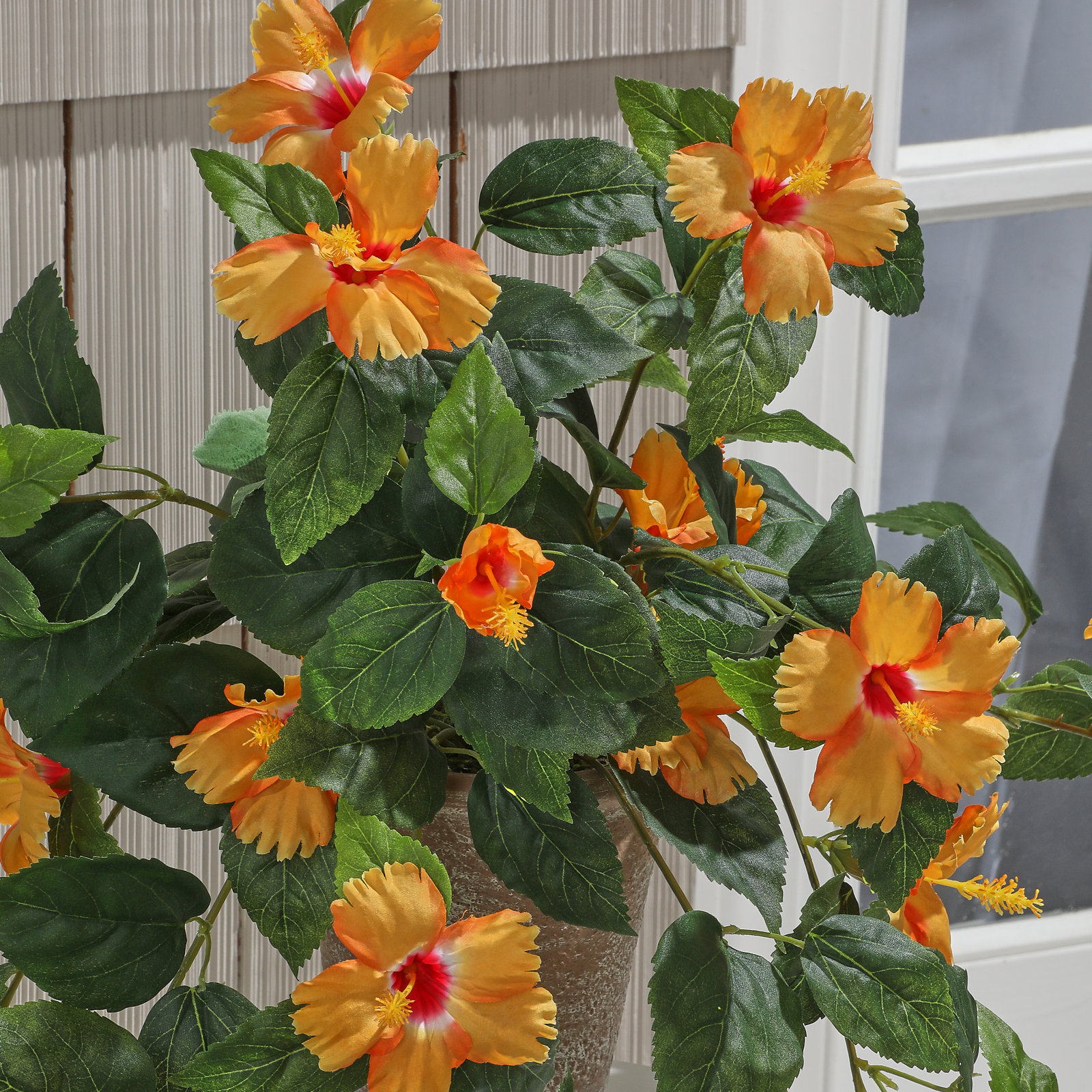 27" UV hanging Hibiscus Plant, Orange