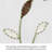 Ajay Floral Embroidered Sheer Grommet Single Curtain Panel-2085889602-2044632909