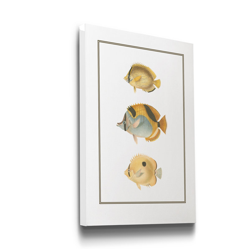 Antique Tropical Fish I - impression sur toile tendue, H 36 po x l 24 po x P 1 po