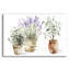«Farmhouse Still Life» par Katrina Pete, art mural en verre acrylique-2104054383