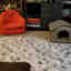 Customer photo 2 of 2