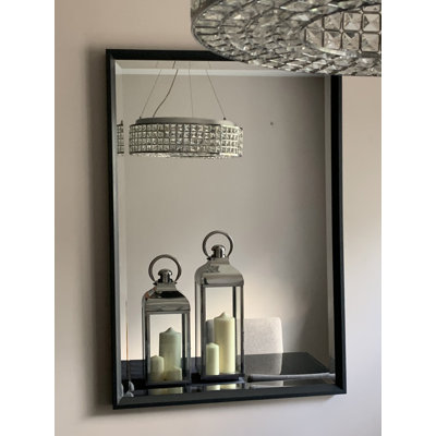 Palliser Wall Mirror