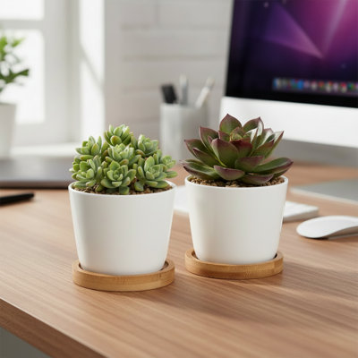 Ensemble de deux pots de fleurs en céramique blanc moderne avec trous de drainage et plateau en bambou. Diamètre 3,52 pouces x hauteur 3,02 pouces.