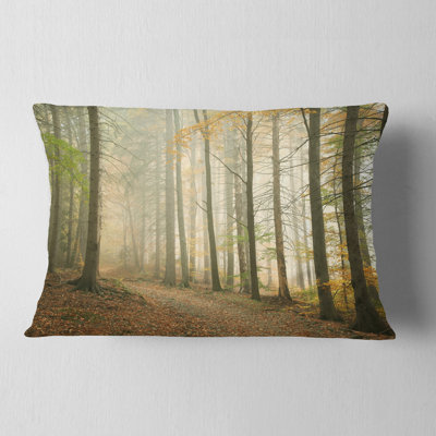 Coussin Schafer