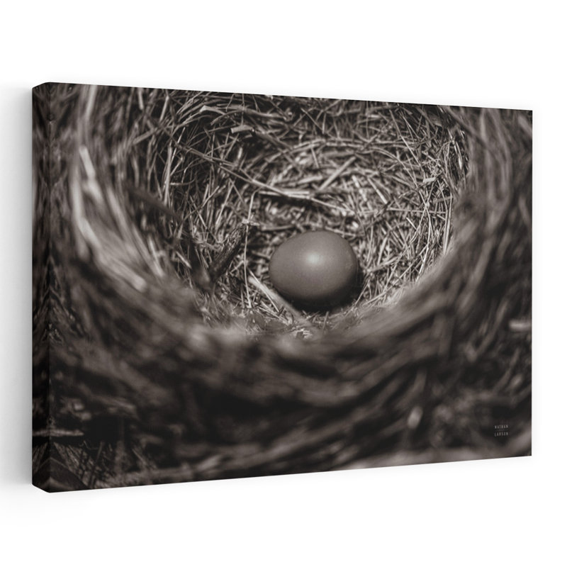 «Préparant I» - Art contemporain en nid d'oiseaux, H 16 po x l 24 po