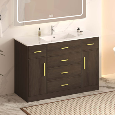 Meuble-lavabo de salle de bain de 122 cm (48 po). Nombreux rangements : 2 portes à fermeture amortie et 6 tiroirs.