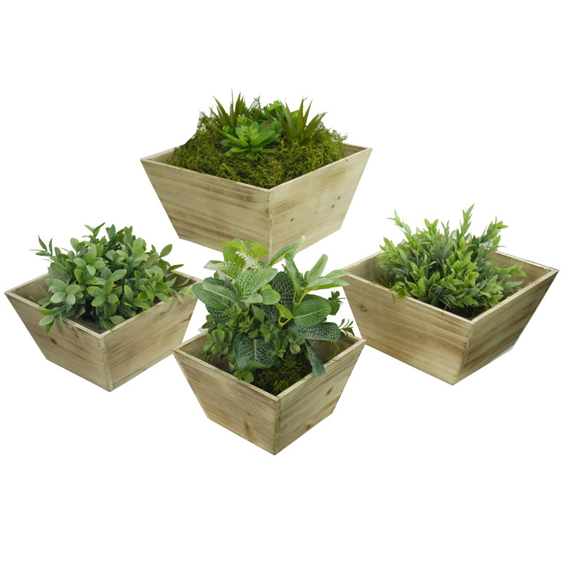 Kaius Handmade Wood Pot Planter, White