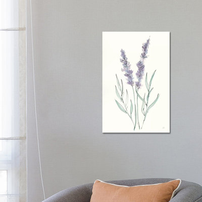Lavender III by Chris Paschke - Wrapped Canvas Gallery-Wrapped Canvas Giclée